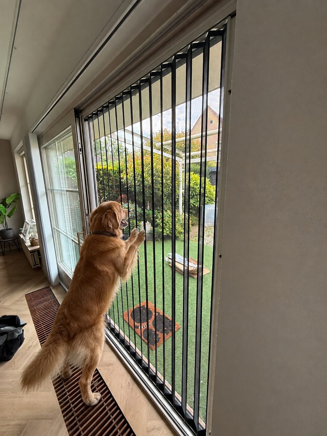 Çelik Akordiyon Sineklik